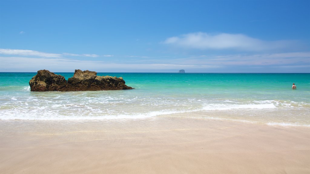 Hot Water Beach showing a sandy beach