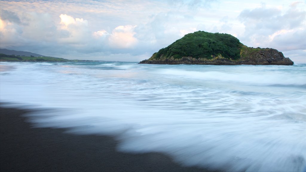 Sugar Loaf Marine Reserve showing island views and a bay or harbour