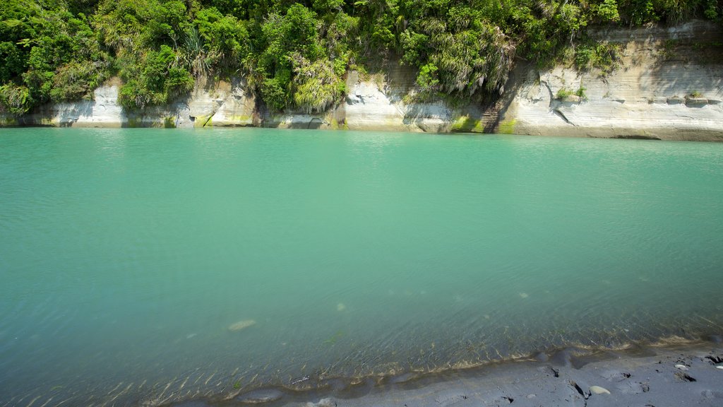 Urenui showing a lake or waterhole