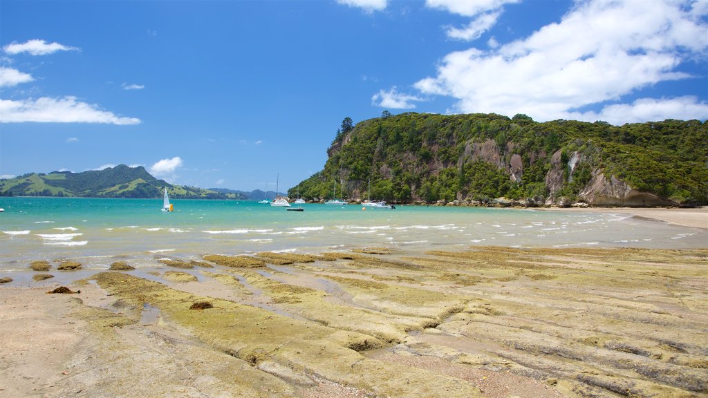 Whitianga showing a bay or harbour, rocky coastline and a beach