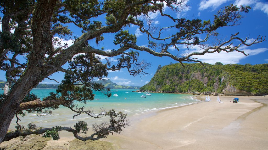 Whitianga mostrando una playa de arena, costa escarpada y una bahía o un puerto