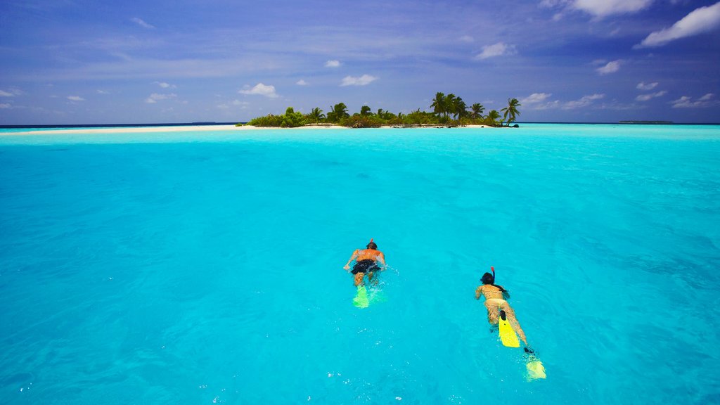 Maldivas que incluye una bahía o puerto, imágenes de una isla y snorkeling