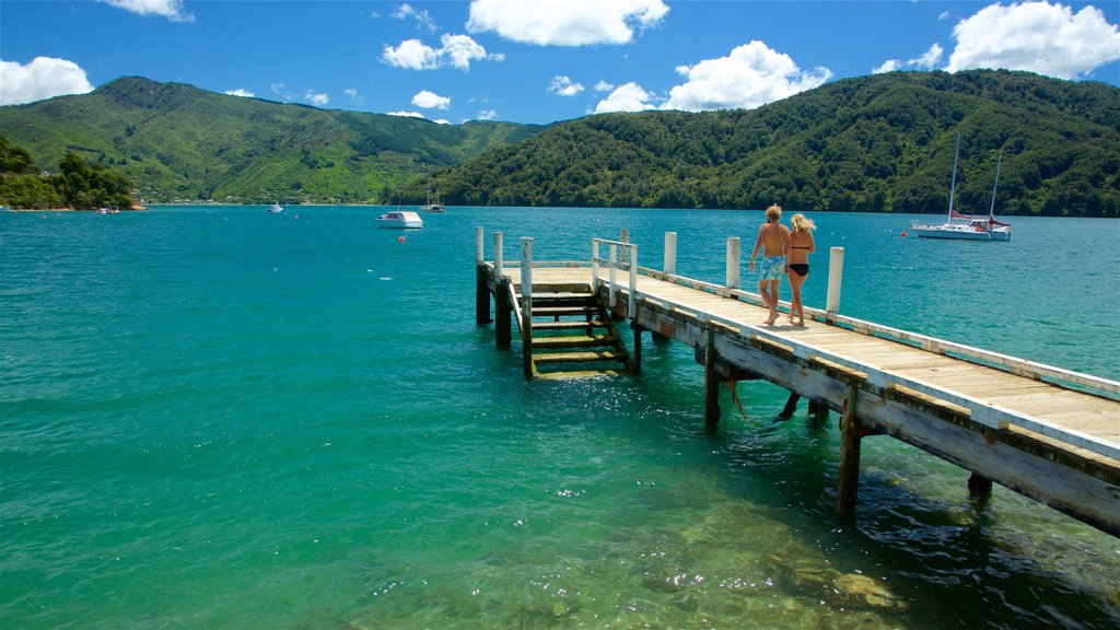 Picton que incluye bosques, una bahía o un puerto y montañas