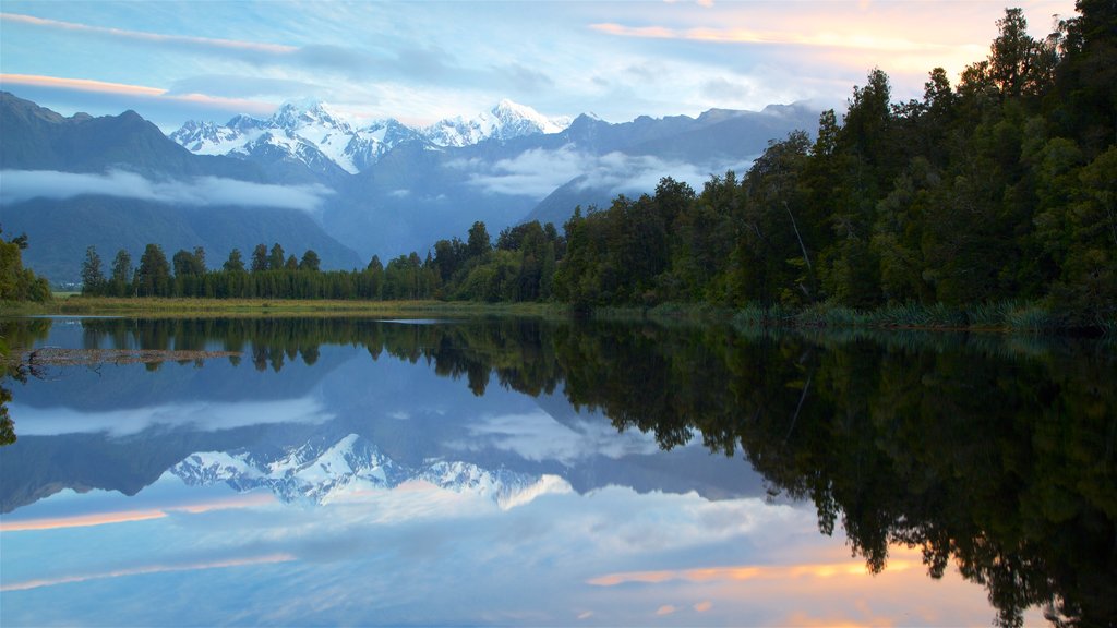 Fox Glacier featuring mountains, forests and a sunset