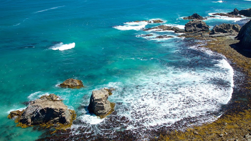 Kaka Point mostrando uma baía ou porto e litoral rochoso