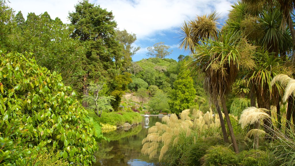 Dunedin Botanic Garden que inclui um lago ou charco e um jardim