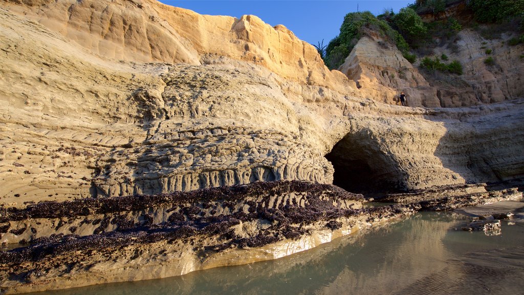 West Coast New Zealand which includes rocky coastline