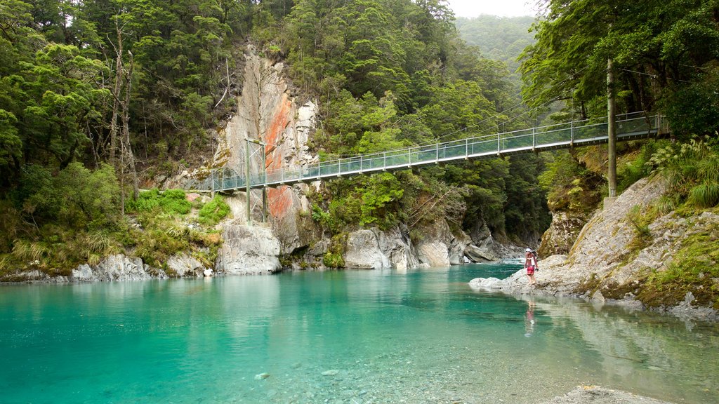 Wanaka featuring a bridge, forests and a lake or waterhole