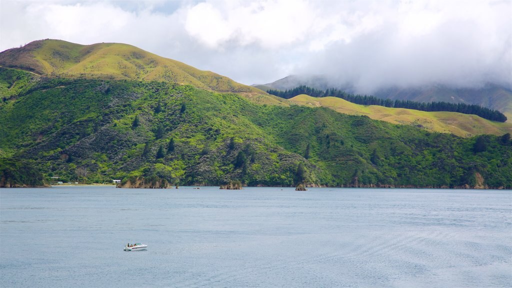 Bahía Queen Charlotte mostrando botes, imágenes de bosques y montañas