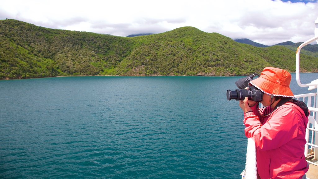 Queen Charlotte Sound featuring mountains, a bay or harbour and forest scenes