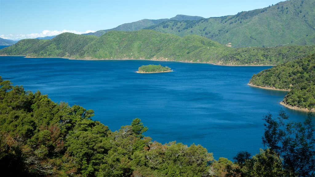 Queen Charlotte Sound showing a bay or harbour, mountains and forests