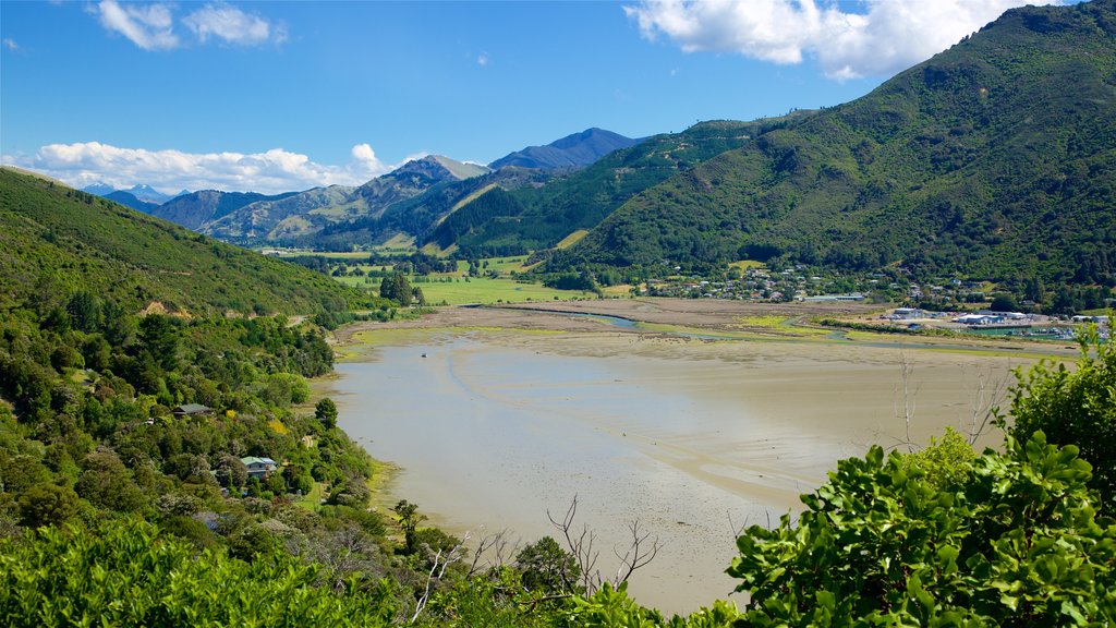 Marlborough featuring a bay or harbour, forests and mountains