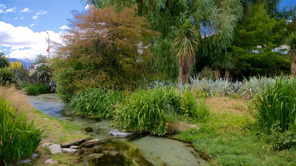 Wanaka som viser en have og en flod eller et vandløb