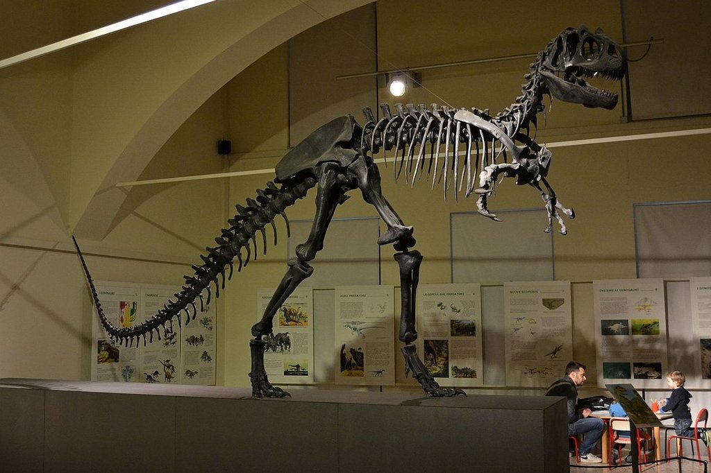 1200px-Allosaurus_Bergamo.jpg?1504140270