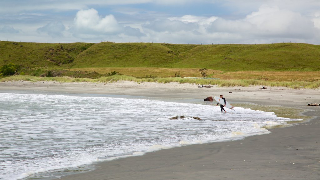 Colonie de phoques de la baie de Tauranga montrant une baie ou un port, surf et paysages paisibles