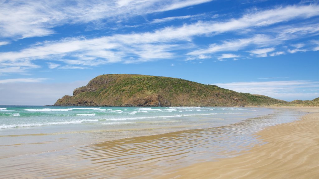 Kaka Point featuring rugged coastline, surf and a bay or harbour