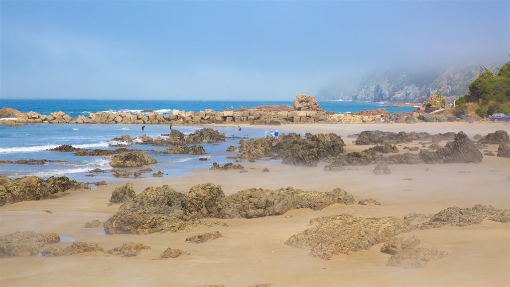 Kaka Point which includes rocky coastline, a beach and mist or fog