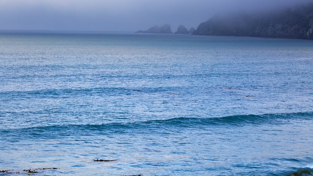 Kaka Point mostrando un atardecer, niebla o neblina y costa escarpada