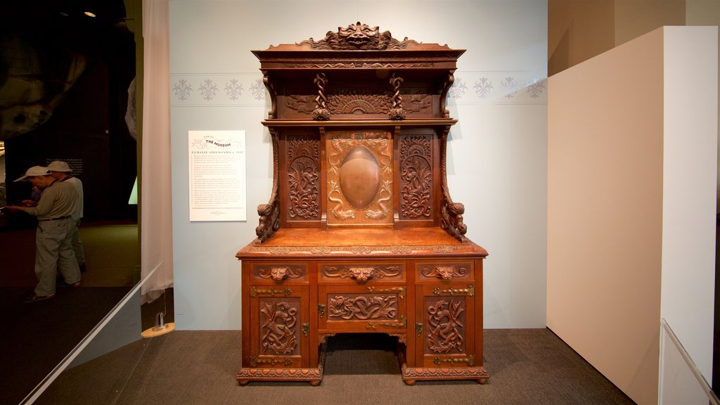 Canterbury Museum showing interior views