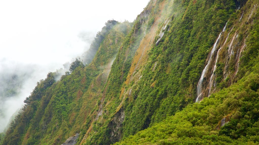 Fox Glacier featuring mountains, forests and mist or fog