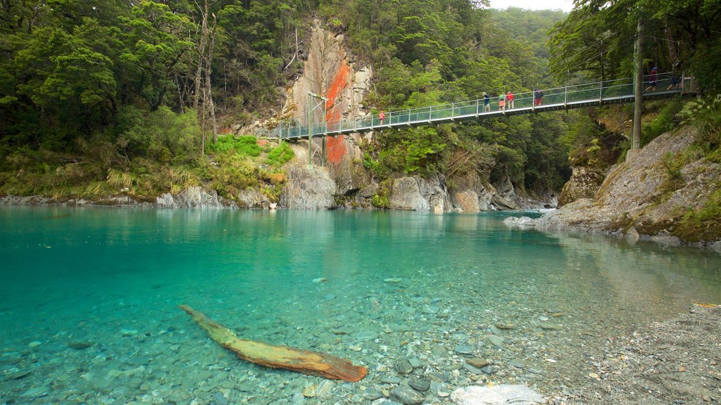 Wanaka que incluye un río o arroyo, un puente y imágenes de bosques