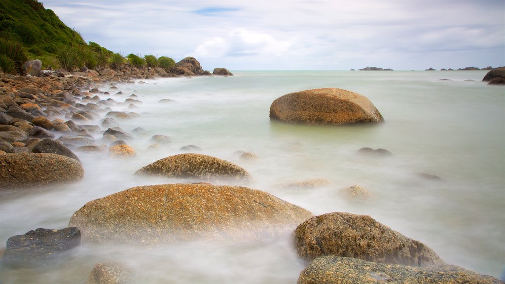 Tauranga Bay Seal Colony which includes rocky coastline