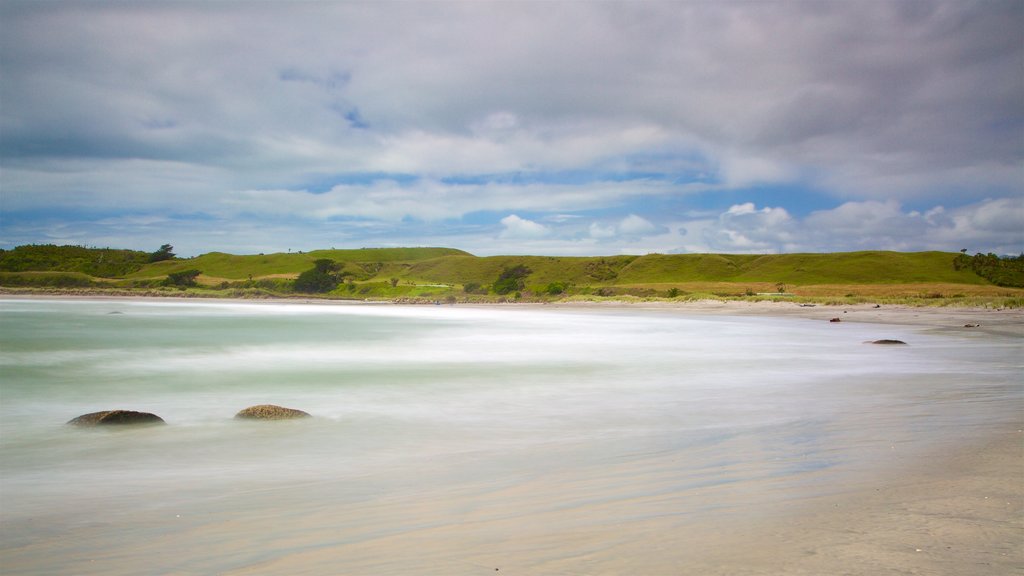 Tauranga Bay Seal Colony showing general coastal views and a beach