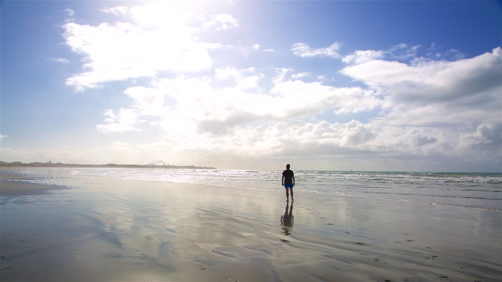 Tauranga Bay Seal Colony which includes a sunset, general coastal views and a beach