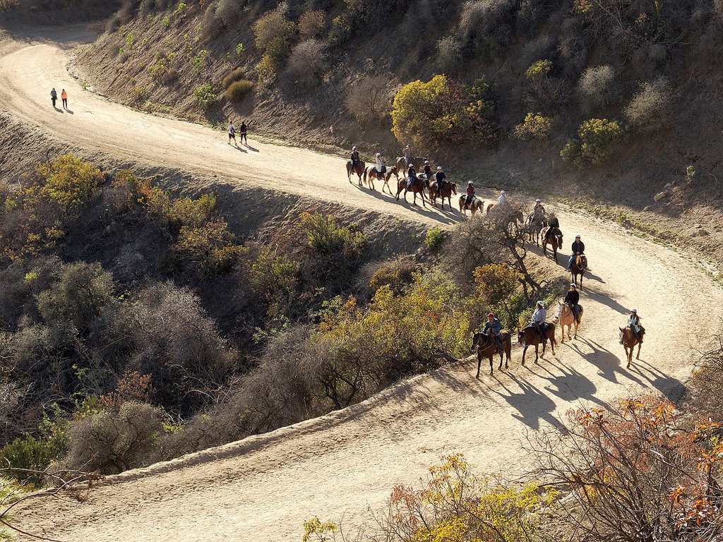 1440px-Equestrian_trail_use_in_Griffith_Park_2015-12-27.jpg?1568815424