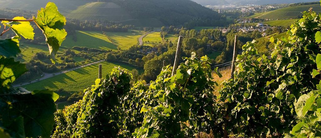 Weinanbaugebiet-Mosel.jpg?1551294330