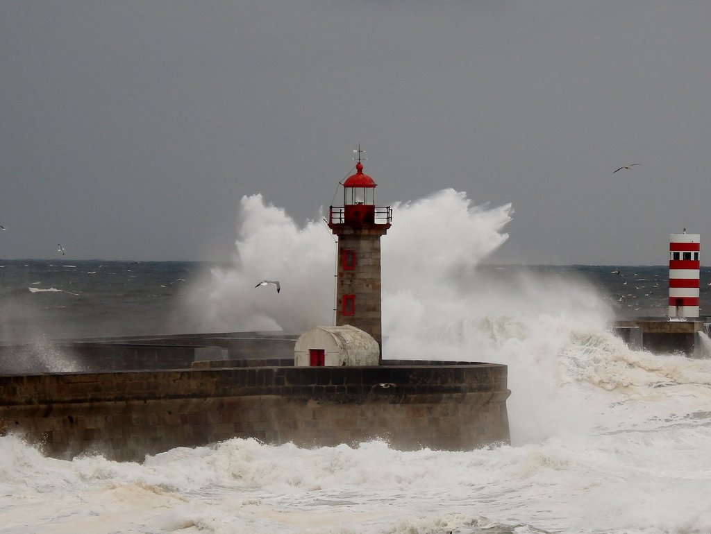 faro_oporto.jpg?1563206094