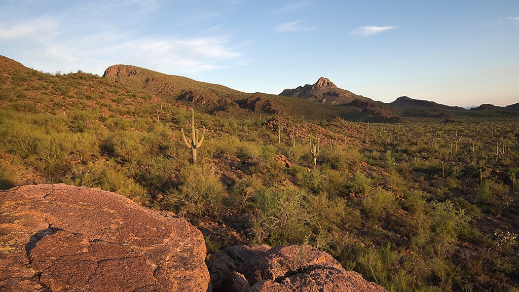 Marana showing tranquil scenes, mountains and desert views