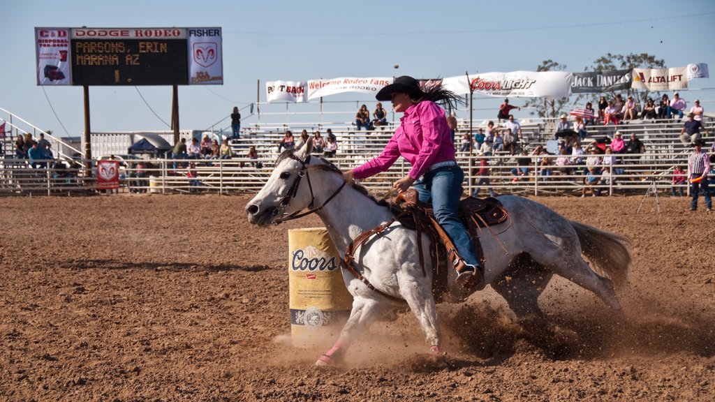 Yuma featuring a sporting event as well as an individual female