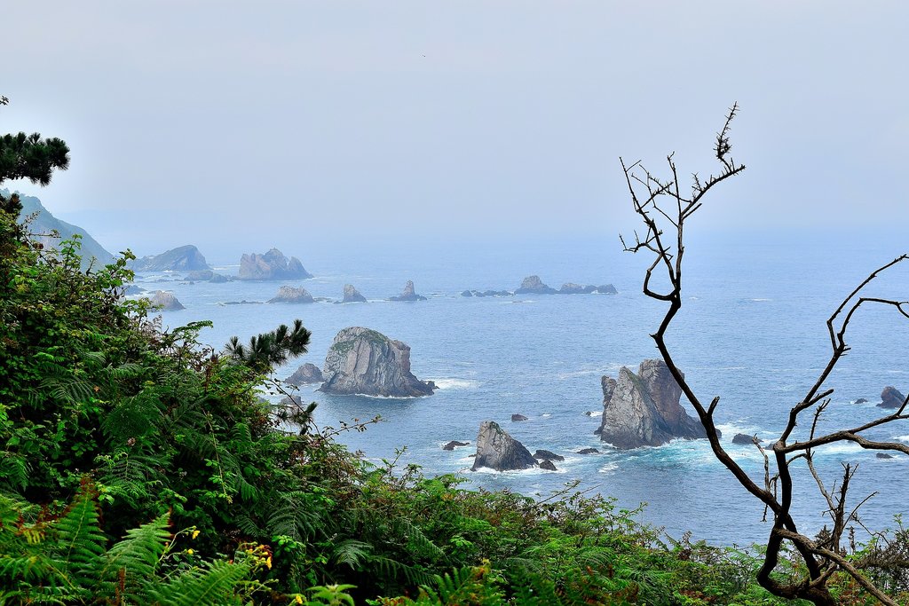 Asturias-playa_del_silencio.jpg?1566206487