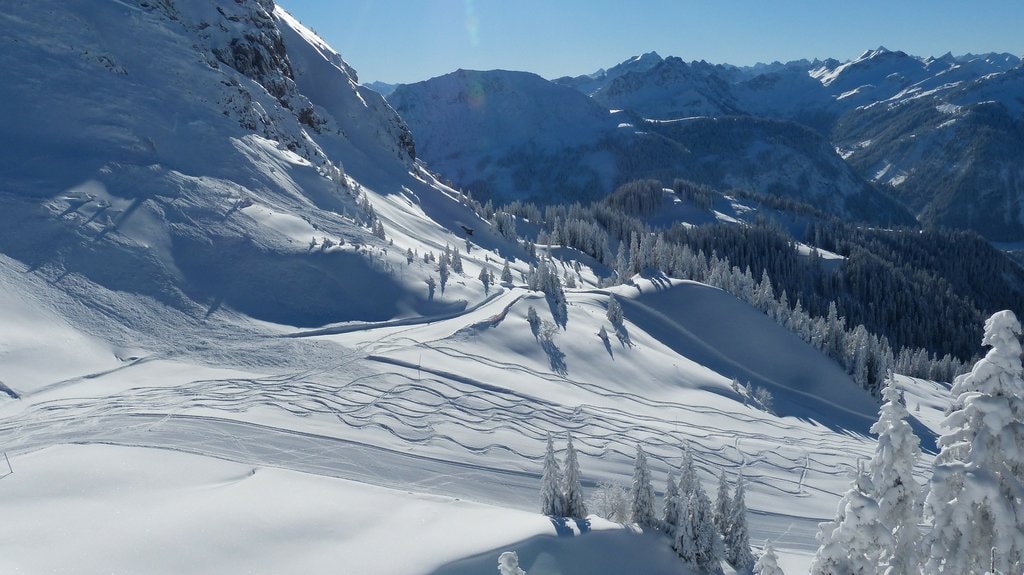 Ski_Suisse_CC0.jpg?1543155835