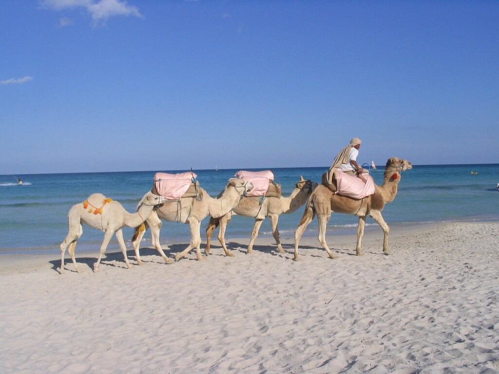Djerba_CC0.jpg?1543161117