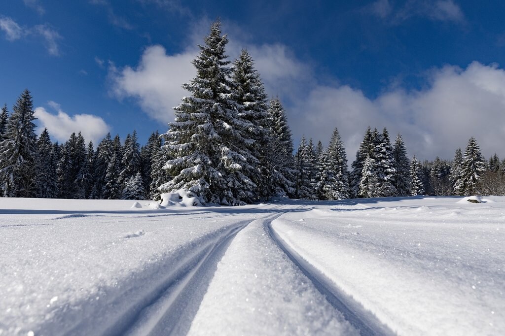 Kranjska_Gora_CC0.jpg?1544177339