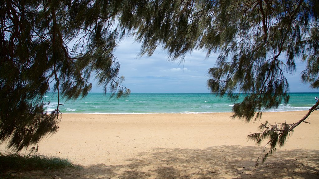 Gladstone showing a sandy beach and general coastal views