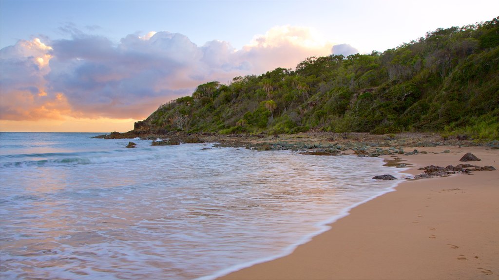 Agnes Water Beach showing a sunset, general coastal views and a beach