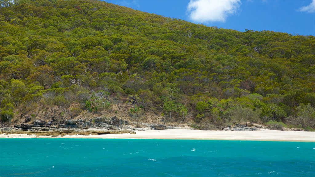 Great Keppel Island which includes general coastal views and forest scenes