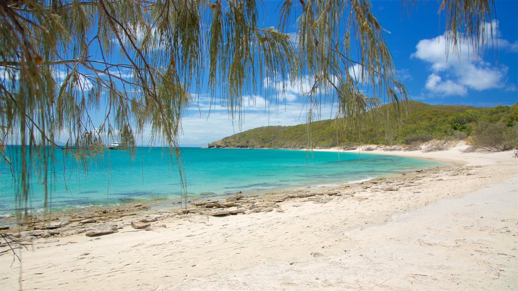 Great Keppel Island showing general coastal views, a bay or harbor and a sandy beach