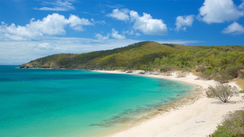 Great Keppel Island featuring a bay or harbour and a beach