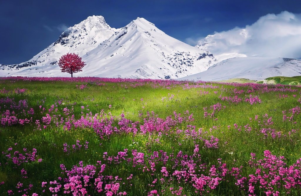 Alpes_CC0.jpg?1545562328