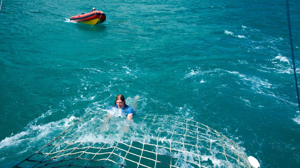 Isla Great Keppel ofreciendo deportes acuáticos y también un hombre