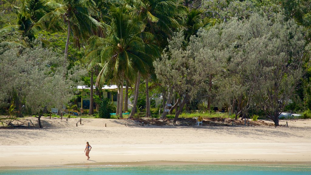 Great Keppel Beach mostrando cenas tropicais e uma praia de areia