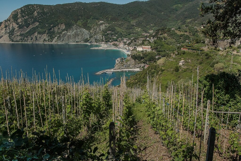 Cinque_Terre_viticole_CC0.jpg?1545809527