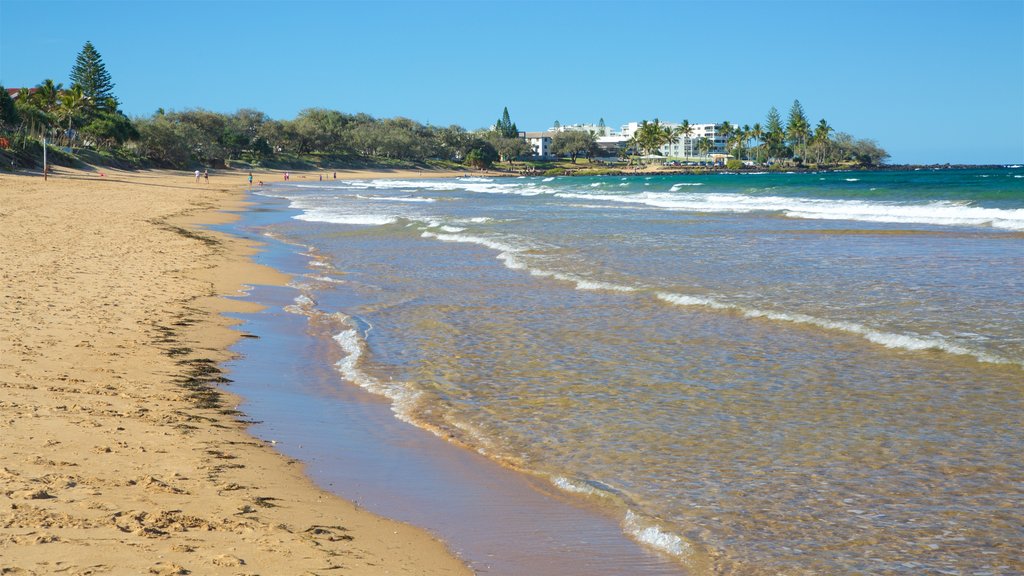 Kelly\'s Beach som omfatter udsigt over kystområde og en sandstrand