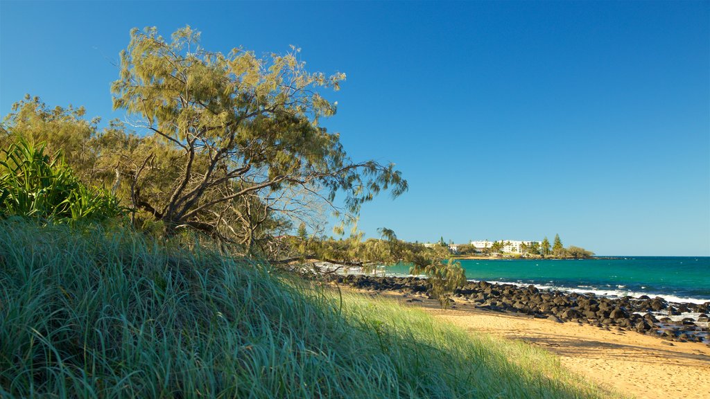 Kelly\'s Beach featuring rocky coastline and general coastal views