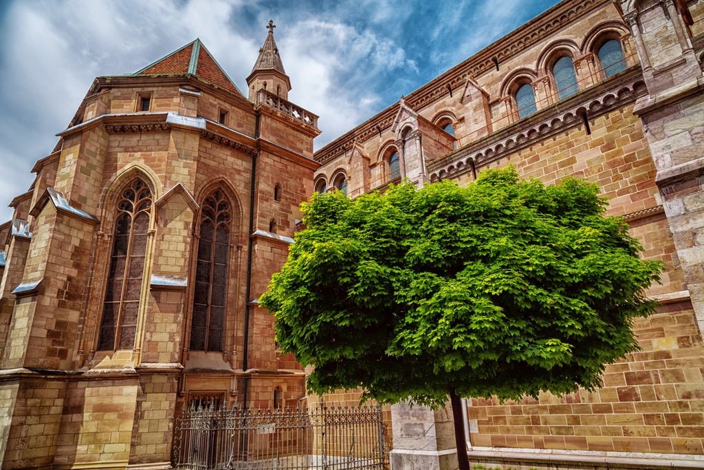 Gen%C3%A8ve_cath%C3%A9drale_Saint-Pierre_Filipe_Samora.jpg?1548343573