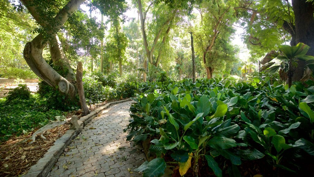 Zoo y jardín botánico de Rockhampton que incluye un parque